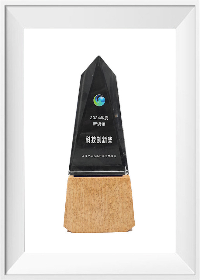 Prix de l'innovation scientifique et technologique Songjiang Xinbang 2024