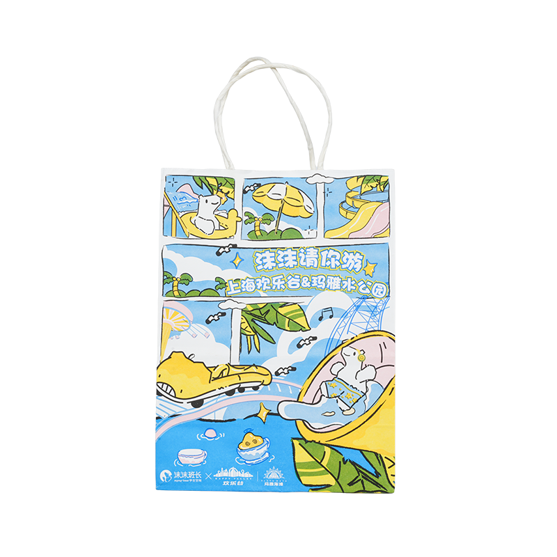 Emballage général sac en papier kraft