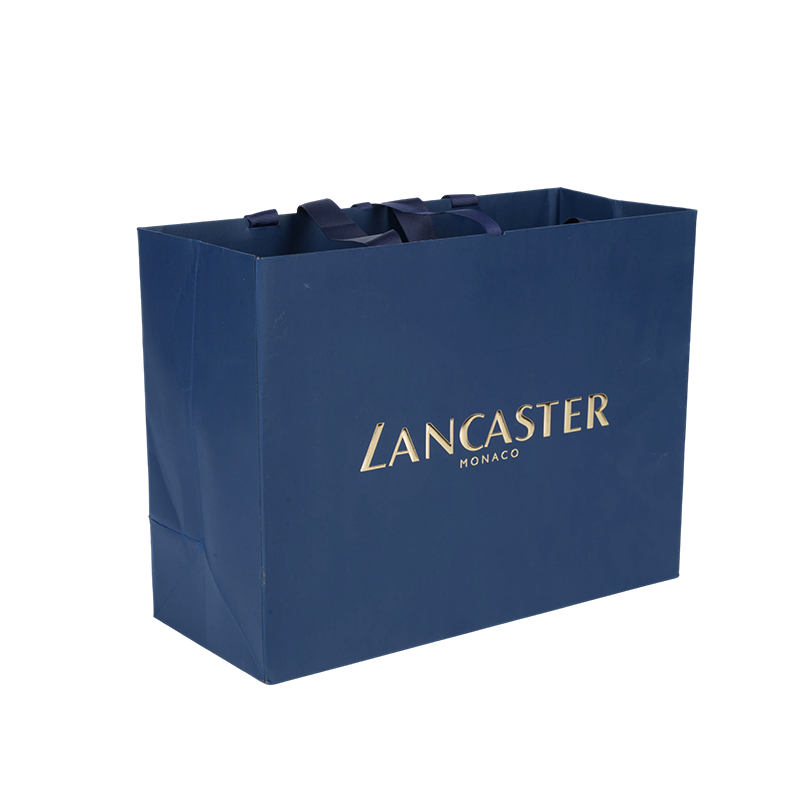 Sac en papier en carton blanc à poignée horizontale épaissie pour l'emballage des soins de la peau