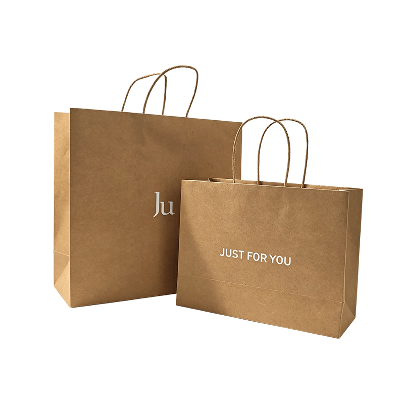 Grand et petit ensemble de sacs cadeaux en papier kraft à poignée torsadée